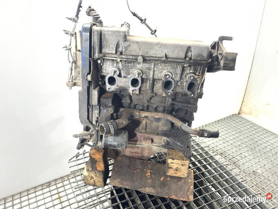 SILNIK FIAT 12 60 188A4000 PANDA II sprzedam