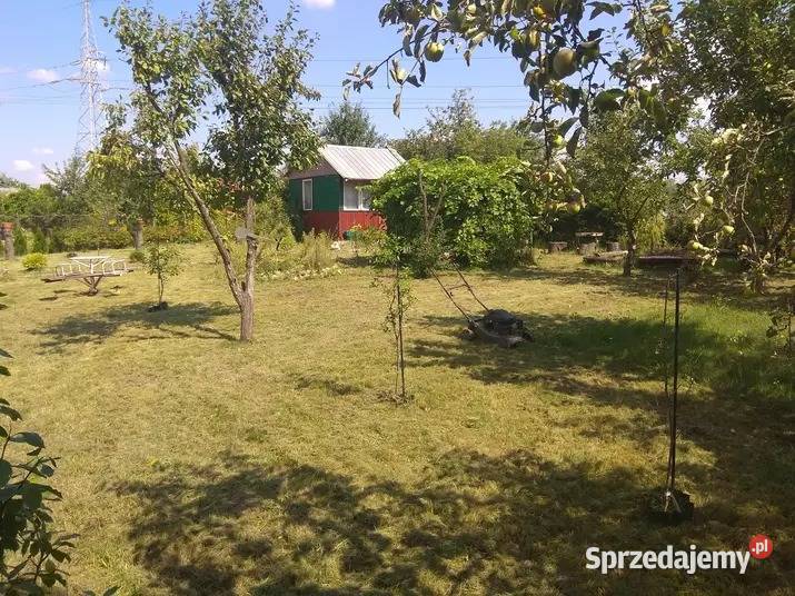 Dwie działki ROD MALWA 6a Chełm