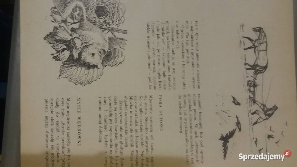 Głos przyrody jesień zima książki dziecięce sprzedam