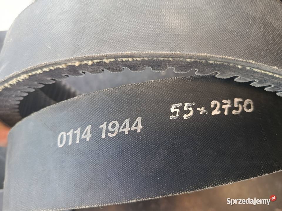 Pas wariatorowy 1141944 Tagex Pozostałe lubelskie Biłgoraj