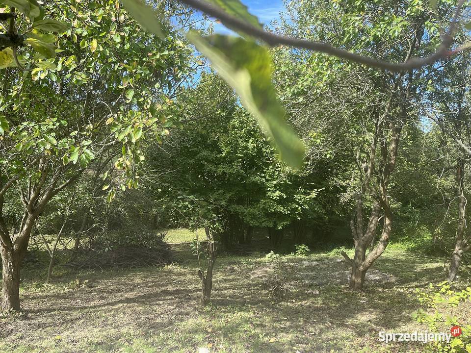 Działka ROD Bratek Dąbrowica 380m2 Ogródek