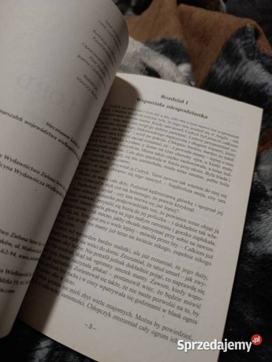 Mały lord Frances Hodgson Burnett Poznań