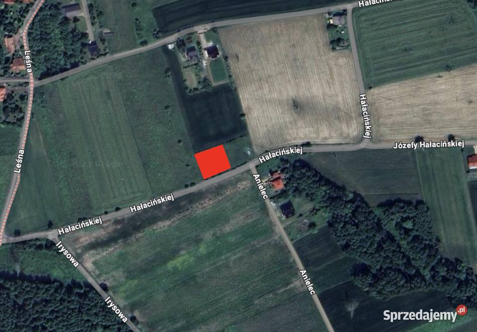 Działka 12 arów 1200 m 24 ary 2400 m Poręba Sprzedaż Poręba Żegoty