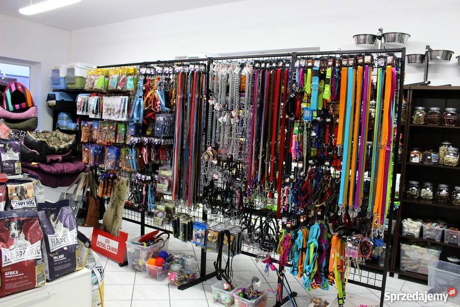 BURUNDUK WIEWIÓRKA SYBERYJSKA Tamias sibiricus Piła