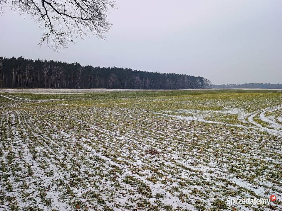 Działki budowlane Grunty i działki Pniewy