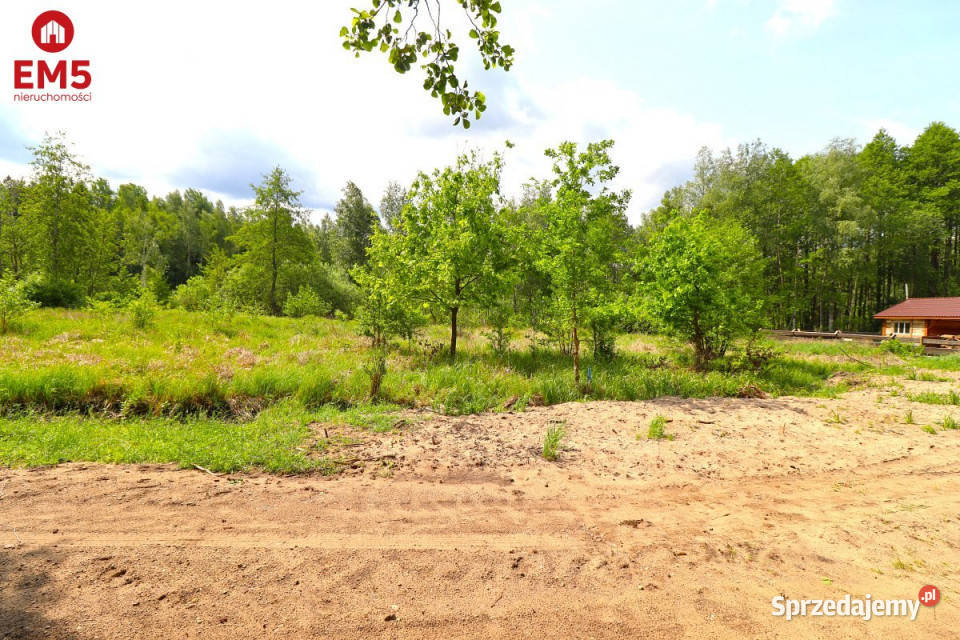 Ogłoszenie grunt Płaska 1420m2