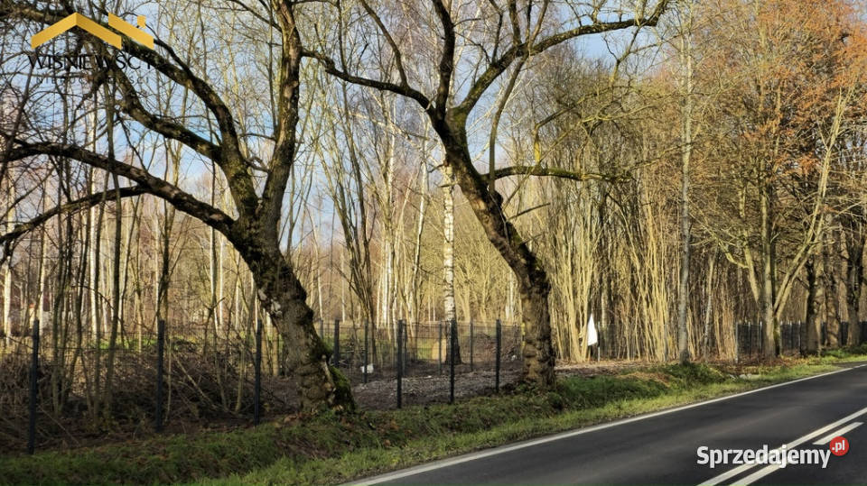Dawidy duża działka 05306 ha WZ Grunty i działki