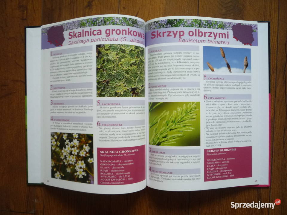Nowa Książka Album Przewodnik Rośliny chronione Szczecin sprzedam