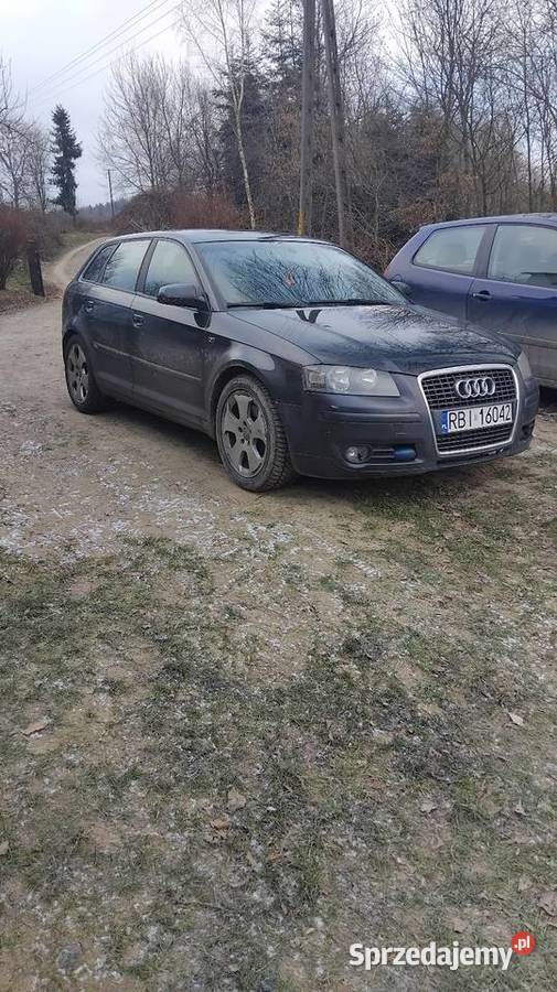 Sprzedam audi a3 8p Rok produkcji 2005 A3 Nienadowa