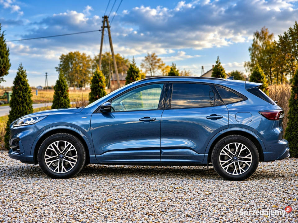 Ford Kuga III 2019 Sadlno