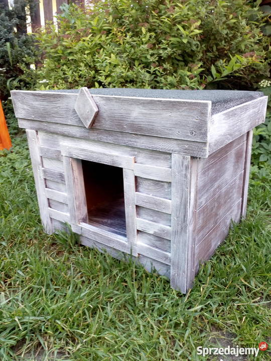 Buda małego psa kota Grodziec