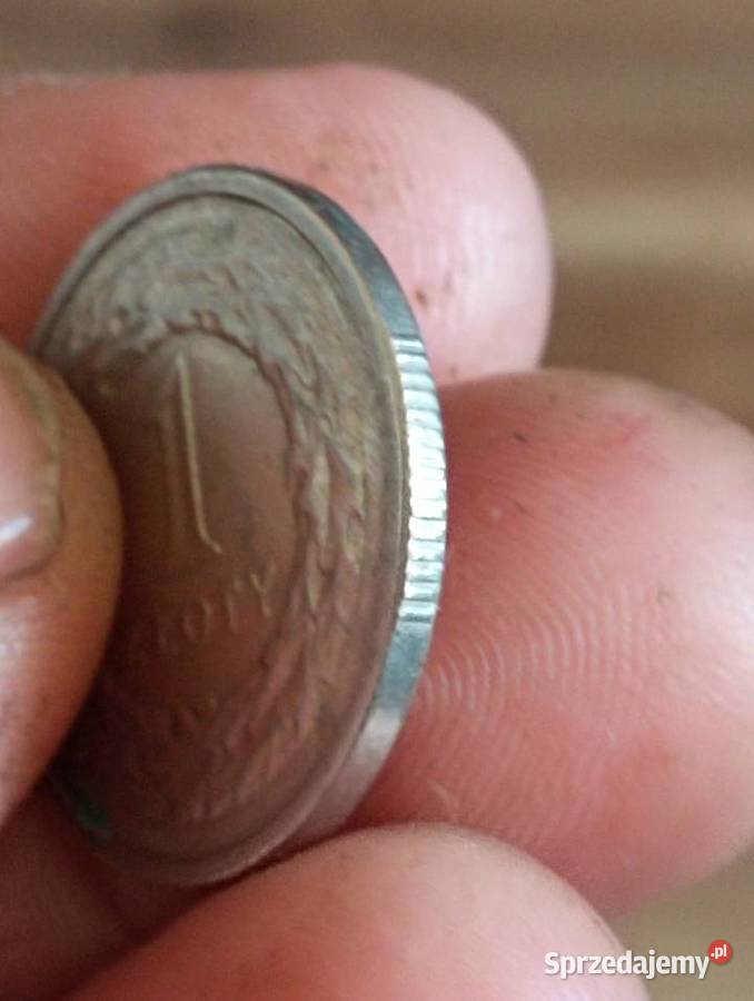 Sprzedam 1 zloty 1993 r Chełm