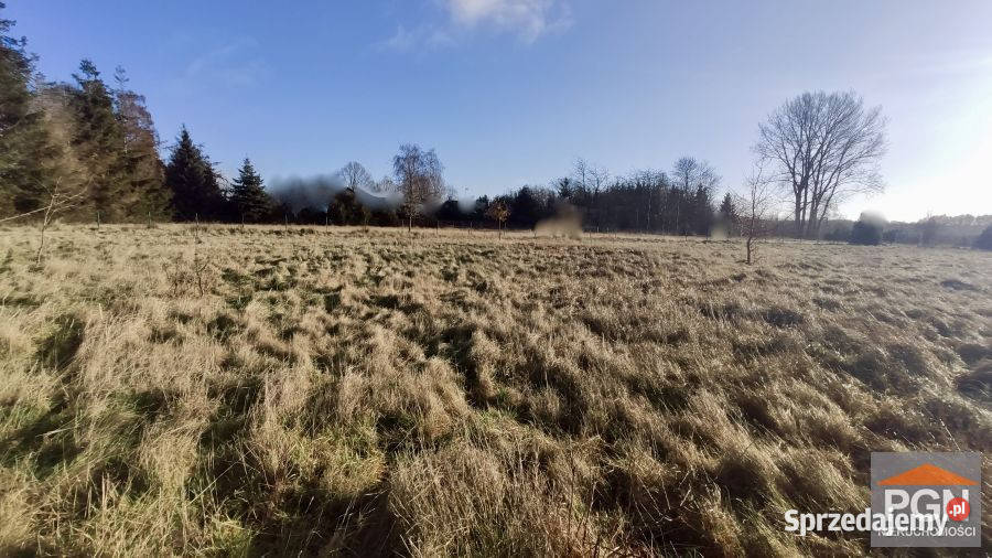 Działka 4892m2 Sierosław Sprzedaż