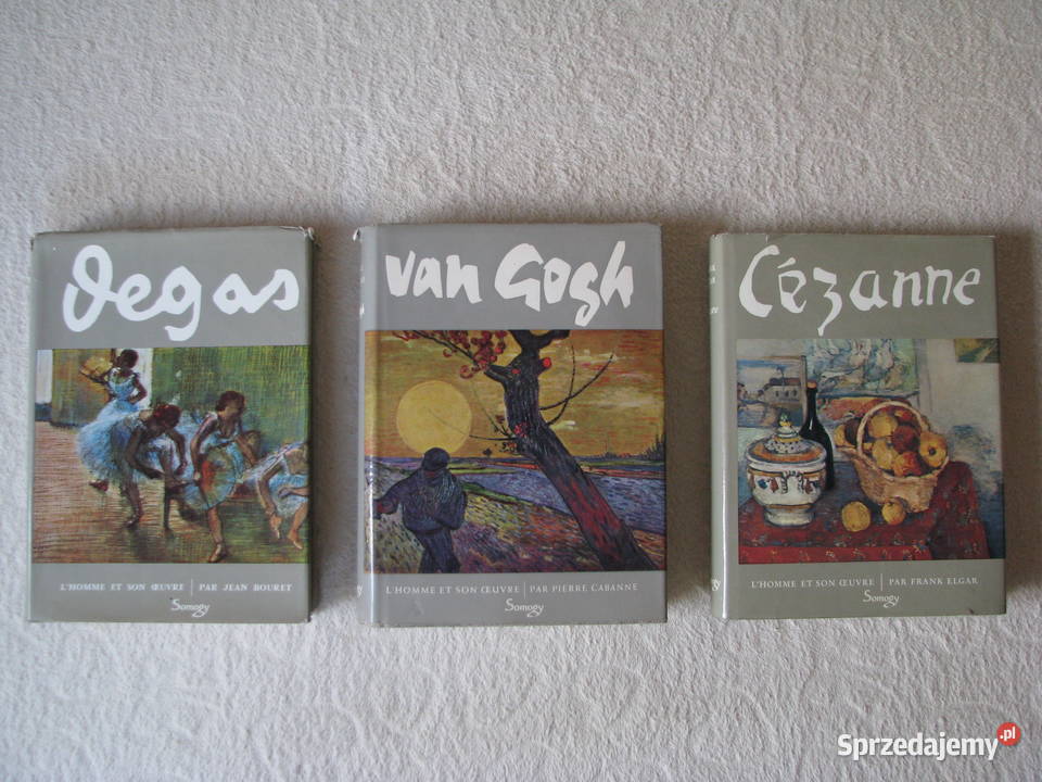 Van Gogh Pierre Cabanne publikacja w języku małopolskie sprzedam
