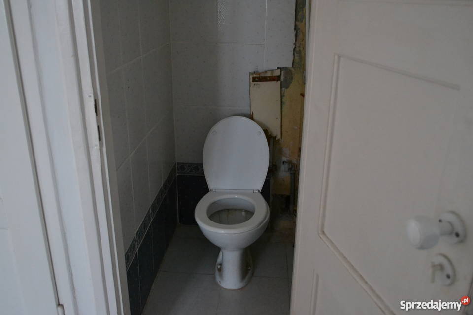 Regny Koluszki Łódź własność 1030 m2 Regny