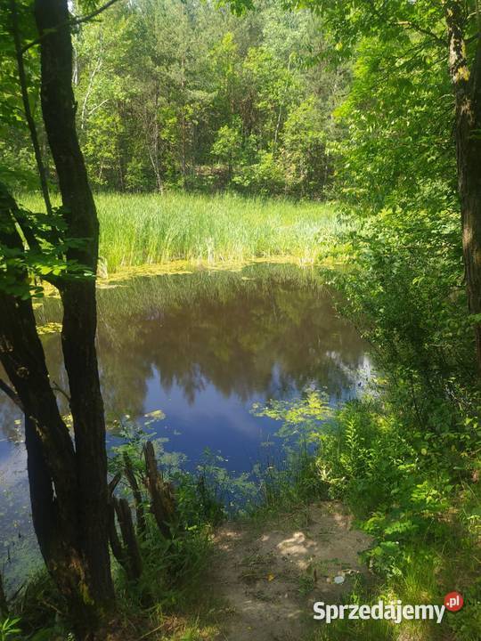 Działka budowlana z dostępem do jeziora budowlana Sprzedaż Janopol