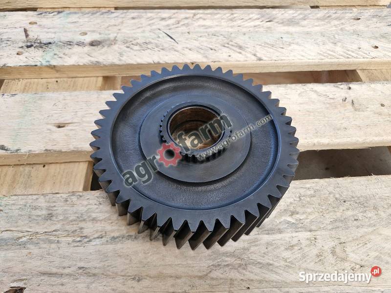 Koło zębate Massey Ferguson 6120 6260 6460 Byków