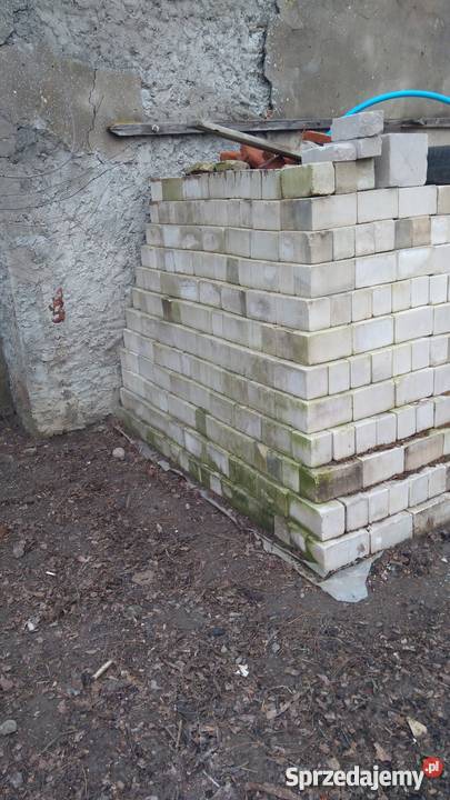 Cegła silka wapienno piaskowa Dąbrowa
