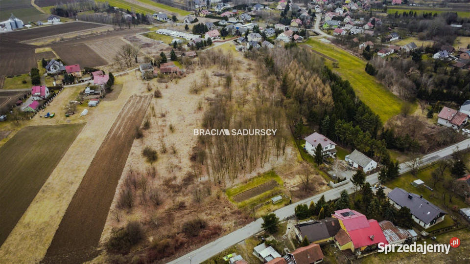 Grunt 7000m2 Wołowice