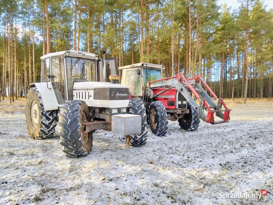 Massey Ferguson 3070 Lamborghini 1106 pomorskie Brusy