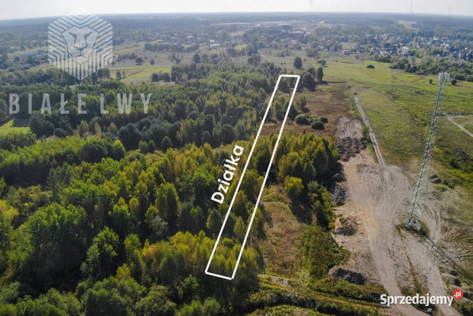 Ogłoszenie działka Nadma Rzeczna 4500m2 sprzedam
