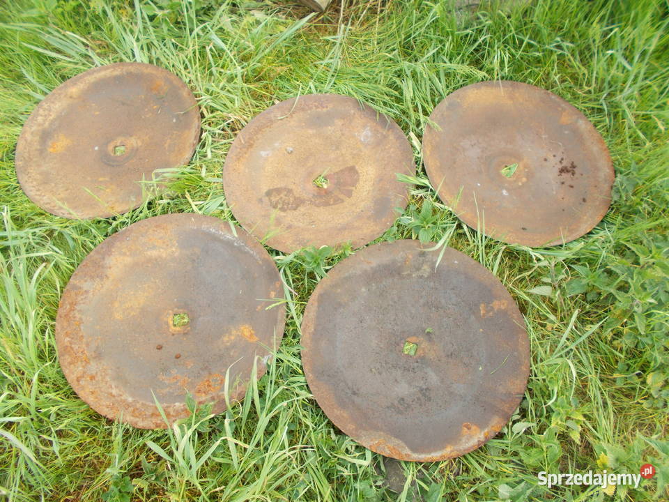 Brona Talerzowa TALERZE PEŁNE 5 Brzeg