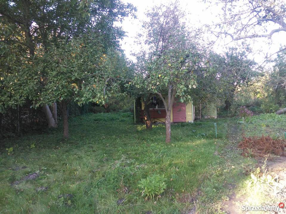 Działka ROD Zamku w Malborku Grunty i działki Malbork