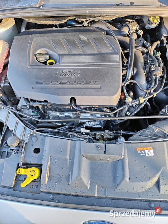 Focus 15benzyna EcoBoost 150 mazowieckie