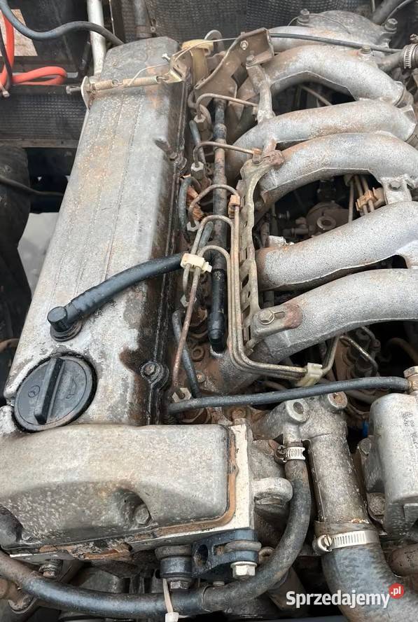 Mercedes GKlase 300D W460 Zakopane