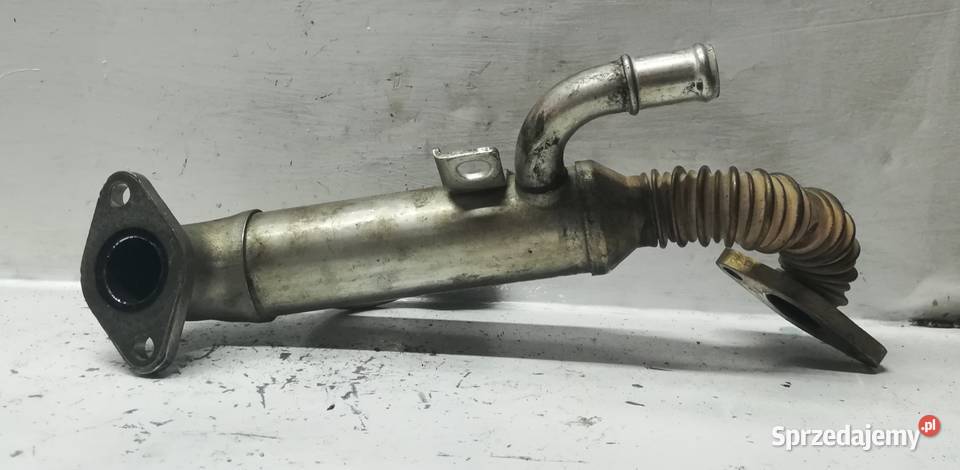 Chłodnica Spalin VW 14 TDI 045131513P osobowe świętokrzyskie