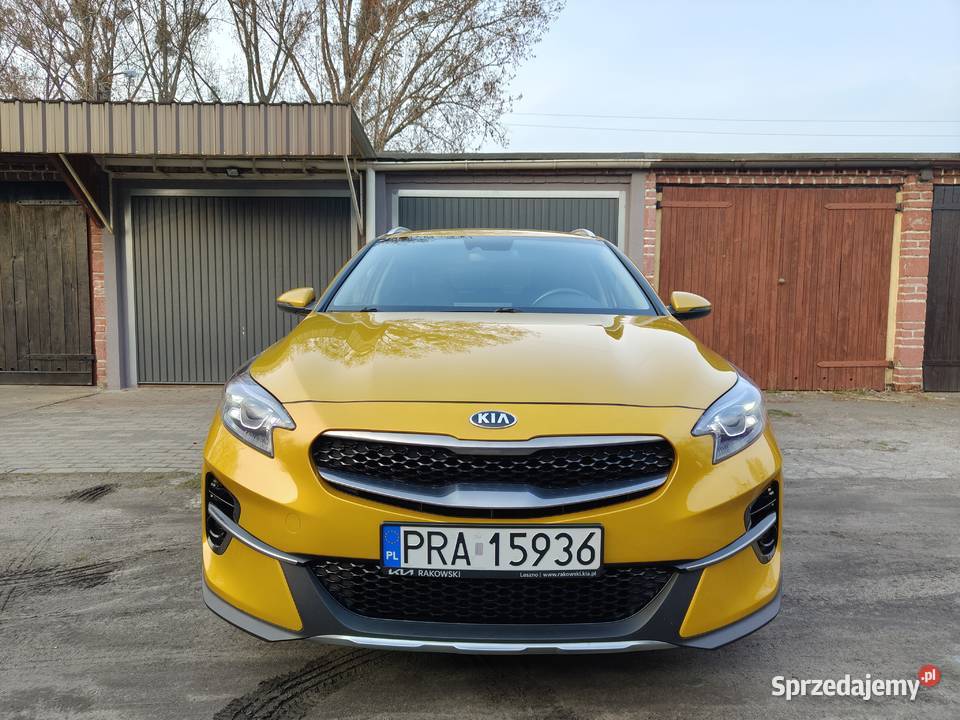 Kia XCeed 16 crdi 2020 salon Polska złoty Rawicz