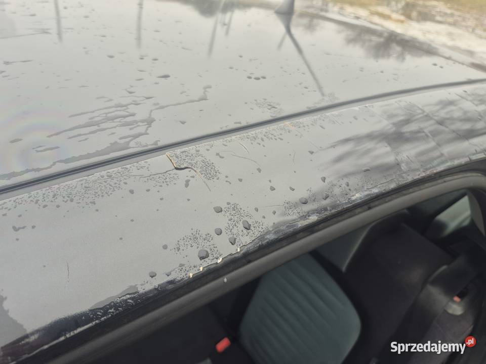 Fiat Grande Punto 13 Multijet 75 2009 Lubin