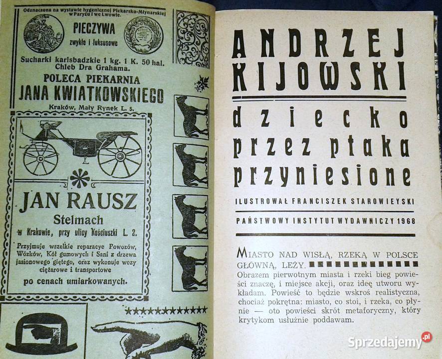 Dziecko ptaka przyniesione Andrzej Kijowski Chełm