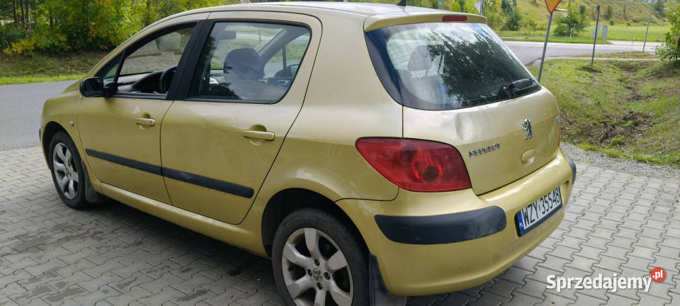 Peugeot 307 I 20012005 Stare Budy