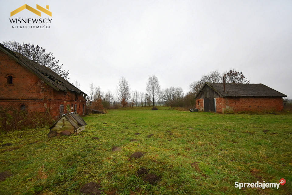 Siedlisko 9400m2 dom dwa budynki gospodarcze warmińsko-mazurskie Głotowo