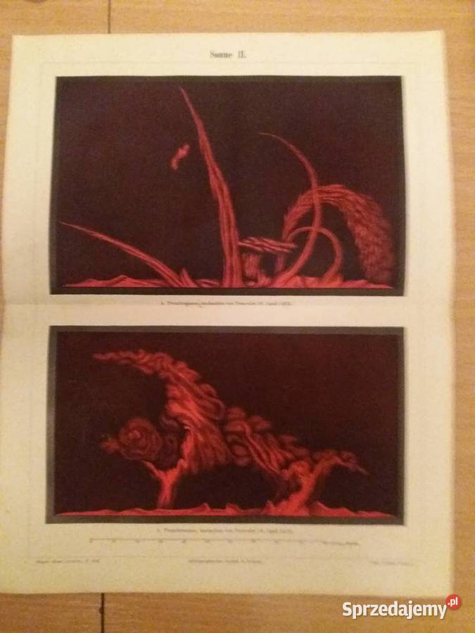 Stara niemiecka rycina z Meyers Lexikon 1897 Jarosław sprzedam