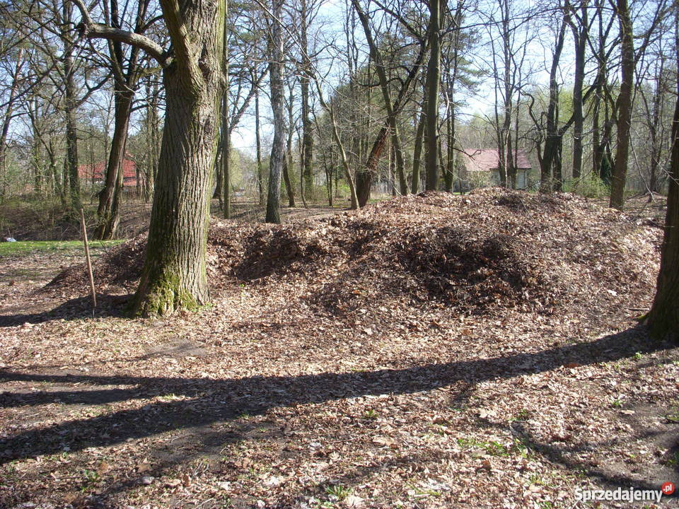 kompost torf z liści drzew Grodzisk Mazowiecki