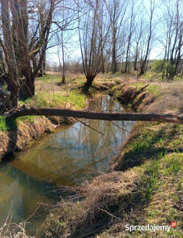 Działka z linią brzegową 130 m lubuskie