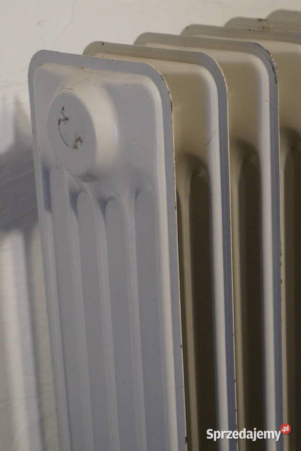 Grzejnik Elektryczny DeLonghi 2000 W wielkopolskie Bogusławice