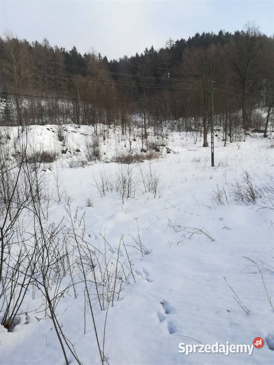 Działka na cele mieszkaniowe Boguszów Gorce dolnośląskie Boguszów-Gorce