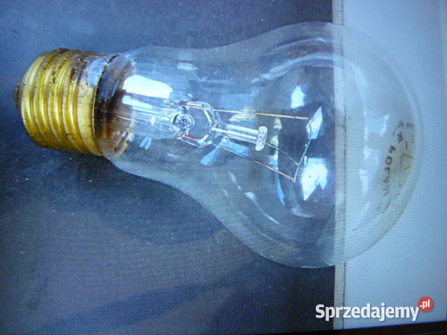 Zarowki 24 Volty60WE27 10 sztuk10 zl Rzeszów