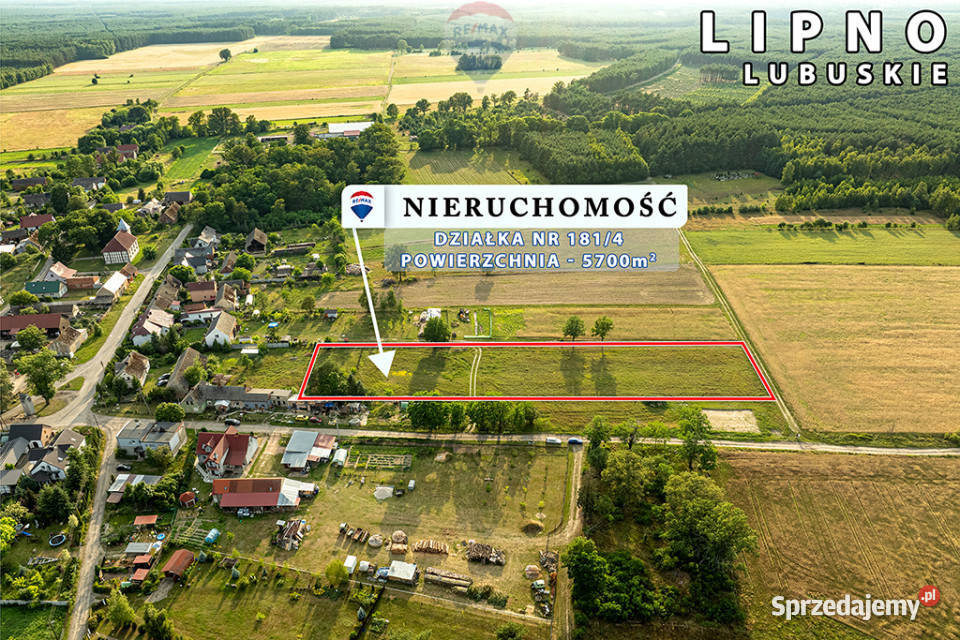 Na sprzedaż działka rolna 5700 m lubuskie