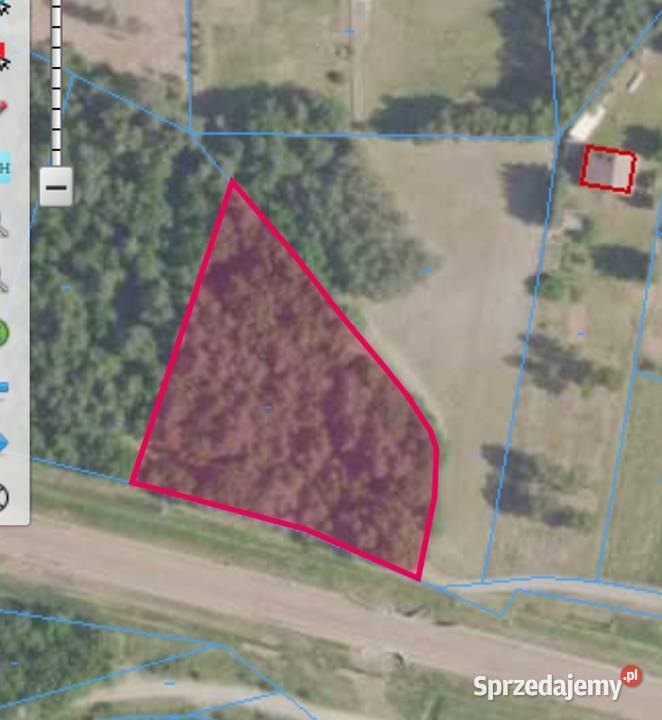 Dzialka lesna mozliwosc budowy domku Sprzedaż Czarna