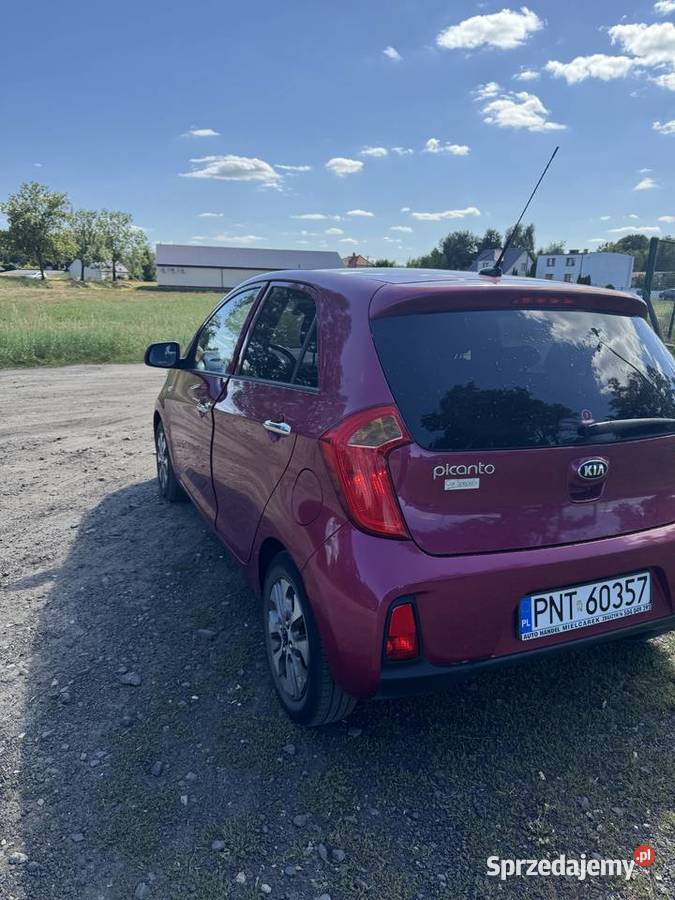 Kia Picanto 10 benzyna 66 2016 109 884 benzyna Zbąszyń