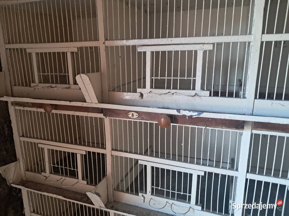 Klatka na praki Chrzanów