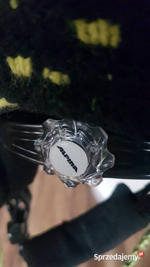 Kask narciarski Alpina Beanie 5558 Jelenia Góra