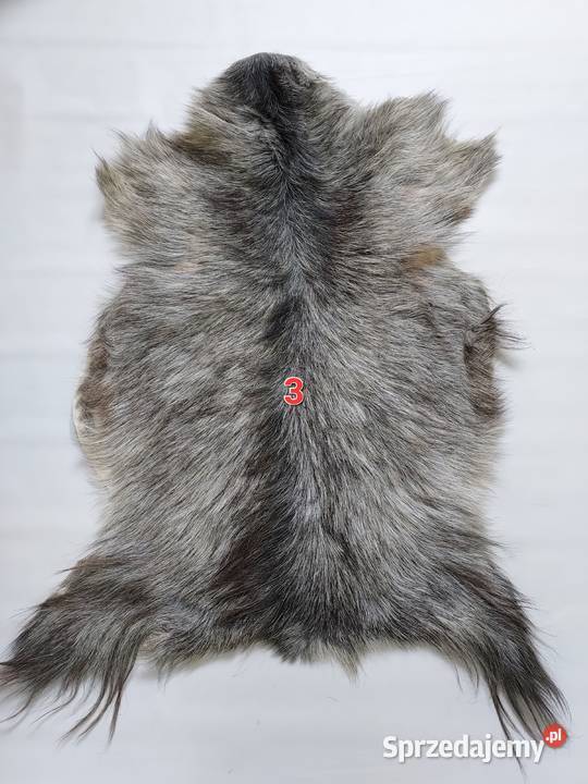 Skóra z Kozy XXL Dekoracyjna Naturalna Skóry