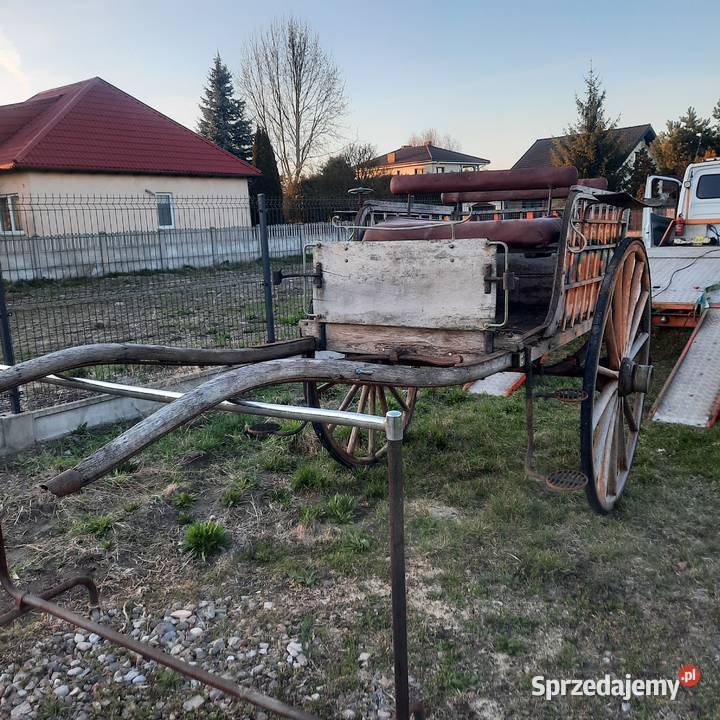 Bryczka konna Strzałkowo