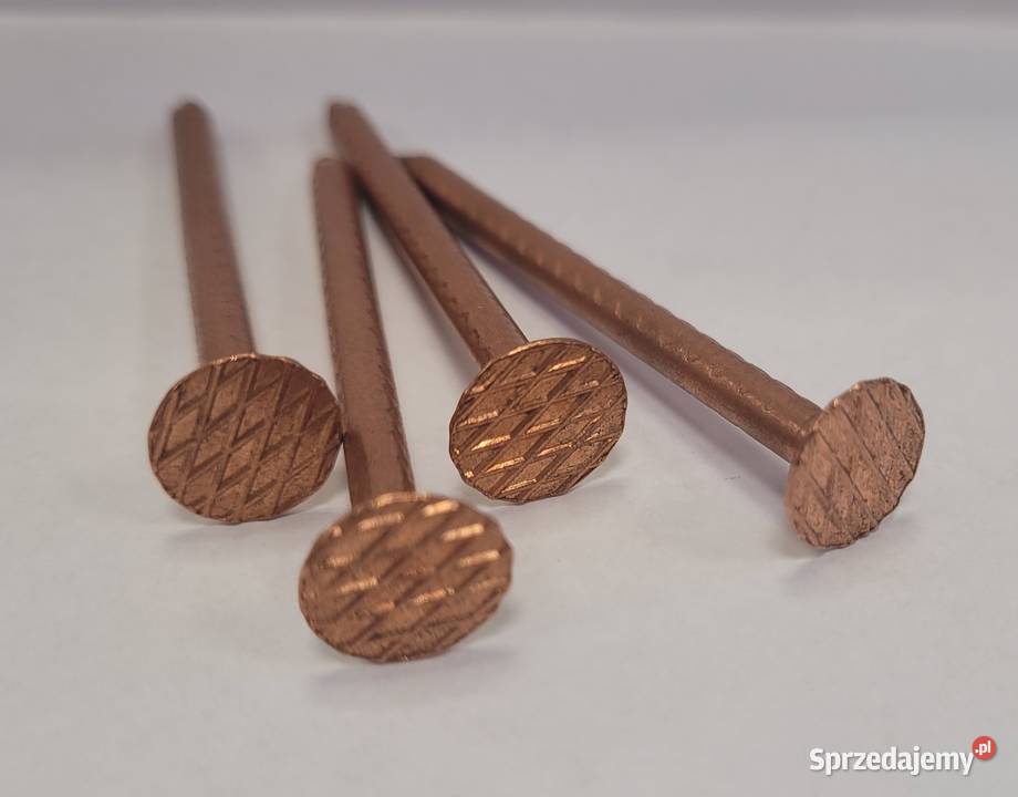 42x65 Gwoździe miedziane duża główka śląskie Rydułtowy