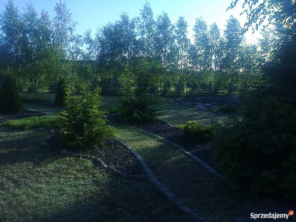 Sprzedam działkę rekreacyjną Wincentowo